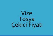 Vize Çekici Fiyatı – Tosya Oto Kurtarıcı Ücreti