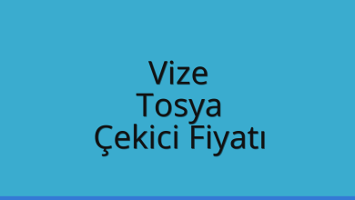Vize Çekici Fiyatı – Tosya Oto Kurtarıcı Ücreti