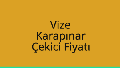 Vize Çekici Fiyatı – Karapınar Oto Kurtarıcı Ücreti