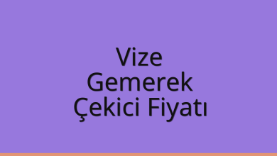 Vize Çekici Fiyatı - Gemerek Oto Kurtarıcı Ücreti Vize Çekici Fiyatı – Gemerek Oto Kurtarıcı Ücreti