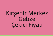 Kırşehir Merkez Çekici Fiyatı – Gebze Oto Kurtarıcı Ücreti