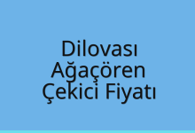 Dilovası Çekici Fiyatı – Ağaçören Oto Kurtarıcı Ücreti