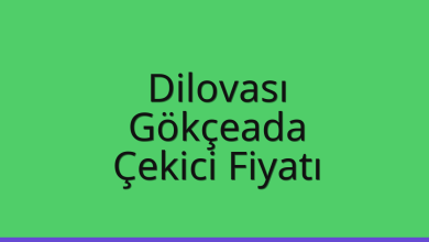 Dilovası Çekici Fiyatı - Gökçeada Oto Kurtarıcı Ücreti Dilovası Çekici Fiyatı – Gökçeada Oto Kurtarıcı Ücreti