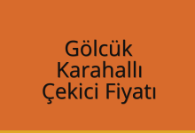 Gölcük Çekici Fiyatı – Karahallı Oto Kurtarıcı Ücreti