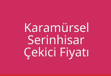 Karamürsel Çekici Fiyatı – Serinhisar Oto Kurtarıcı Ücreti