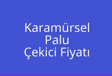 Karamürsel Çekici Fiyatı – Palu Oto Kurtarıcı Ücreti