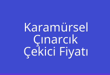 Karamürsel Çekici Fiyatı – Çınarcık Oto Kurtarıcı Ücreti