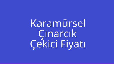 Karamürsel Çekici Fiyatı – Çınarcık Oto Kurtarıcı Ücreti