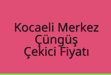 Kocaeli Merkez Çekici Fiyatı – Çüngüş Oto Kurtarıcı Ücreti