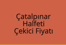 Çatalpınar Çekici Fiyatı – Halfeti Oto Kurtarıcı Ücreti