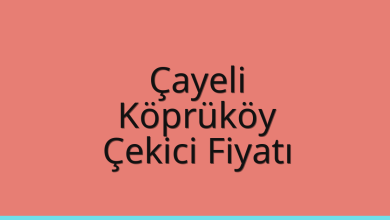 Çayeli Çekici Fiyatı – Köprüköy Oto Kurtarıcı Ücreti