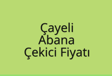 Çayeli Çekici Fiyatı – Abana Oto Kurtarıcı Ücreti