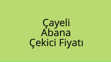 Çayeli Çekici Fiyatı – Abana Oto Kurtarıcı Ücreti