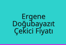 Ergene Çekici Fiyatı – Doğubayazıt Oto Kurtarıcı Ücreti