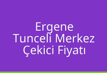 Ergene Çekici Fiyatı – Tunceli Merkez Oto Kurtarıcı Ücreti