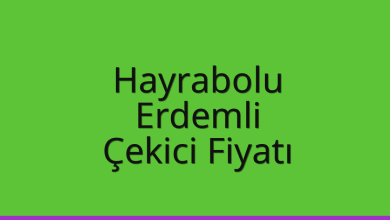 Hayrabolu Çekici Fiyatı - Erdemli Oto Kurtarıcı Ücreti Hayrabolu Çekici Fiyatı – Erdemli Oto Kurtarıcı Ücreti