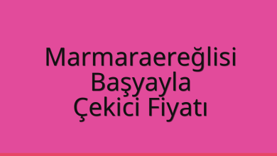 Marmaraereğlisi Çekici Fiyatı – Başyayla Oto Kurtarıcı Ücreti