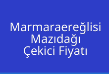 Marmaraereğlisi Çekici Fiyatı – Mazıdağı Oto Kurtarıcı Ücreti