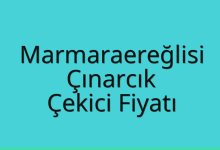 Marmaraereğlisi Çekici Fiyatı – Çınarcık Oto Kurtarıcı Ücreti