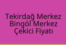 Tekirdağ Merkez Çekici Fiyatı – Bingöl Merkez Oto Kurtarıcı Ücreti