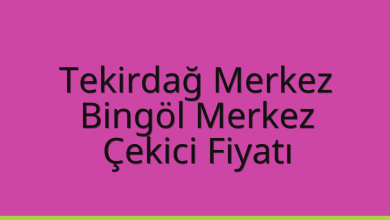 Tekirdağ Merkez Çekici Fiyatı – Bingöl Merkez Oto Kurtarıcı Ücreti