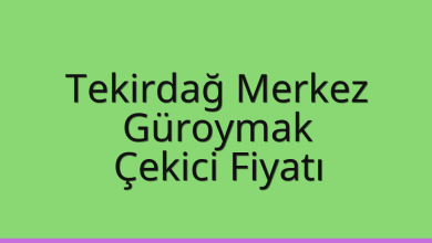 Tekirdağ Merkez Çekici Fiyatı – Güroymak Oto Kurtarıcı Ücreti
