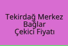 Tekirdağ Merkez Çekici Fiyatı – Bağlar Oto Kurtarıcı Ücreti