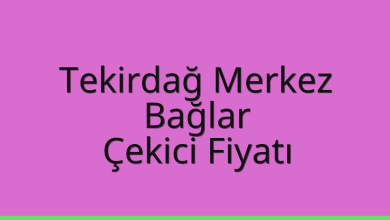 Tekirdağ Merkez Çekici Fiyatı – Bağlar Oto Kurtarıcı Ücreti