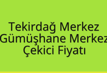 Tekirdağ Merkez Çekici Fiyatı – Gümüşhane Merkez Oto Kurtarıcı Ücreti