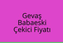 Gevaş Çekici Fiyatı – Babaeski Oto Kurtarıcı Ücreti