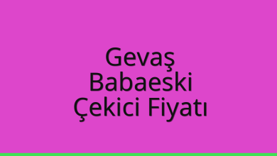 Gevaş Çekici Fiyatı - Babaeski Oto Kurtarıcı Ücreti Gevaş Çekici Fiyatı – Babaeski Oto Kurtarıcı Ücreti