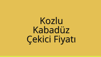Kozlu Çekici Fiyatı – Kabadüz Oto Kurtarıcı Ücreti